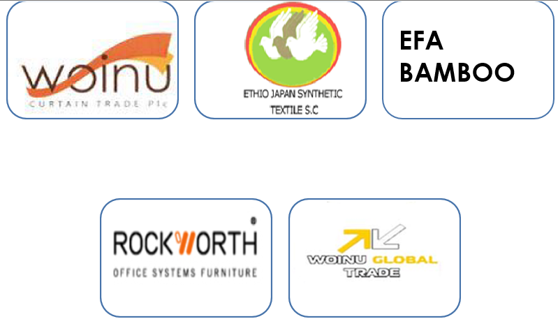 About Woinu Group